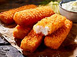 Fins move on! Fish fingers grown in LABS could hit supermarket shelves within two years 