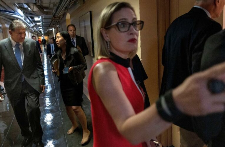 She started as green party activist. Now she’s at the center of negotiations