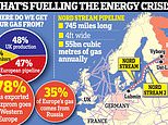 Industry boss warns factories are ALREADY slowing down production amid rocketing gas prices 