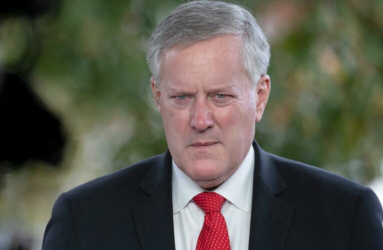 ‘Can almost see Bannon as ventriloquist’: Haberman on Meadows’ comment