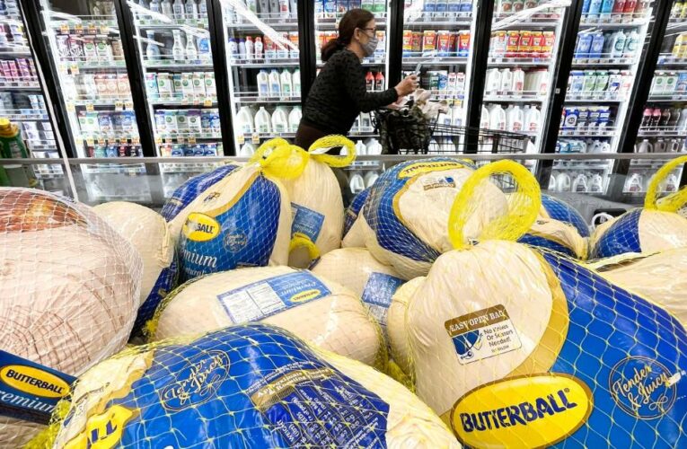 Thanksgiving dinner will cost Americans 14% more this year, survey finds