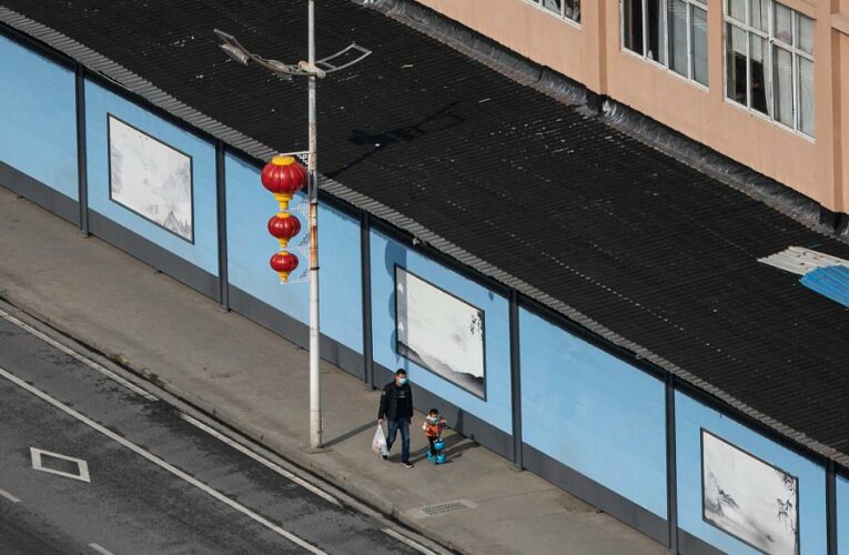 Fresh look at pandemic origins points straight to food market in Wuhan, scientist says
