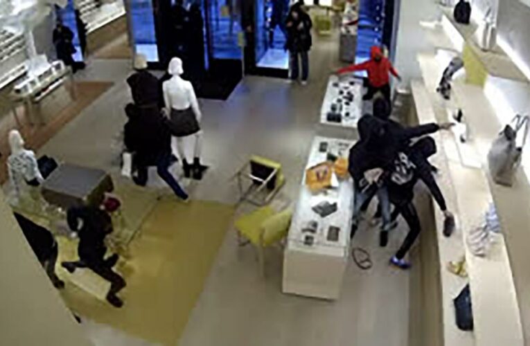 14 people rushed into a Louis Vuitton store outside Chicago and ran out with at least $100,000 in merchandise, police say