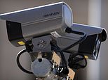 Whitehall security scare after discovering CCTV in London HQ made by controversial Chinese firm 
