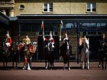 Plan pleads guilty to trespassing at Buckingham Palace