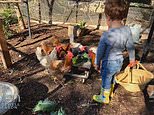 Meghan Markle reveals new photograph of two-year-old son Archie feeding their chickens