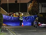 Two women and two children die in south-east London house fire