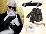 Fashion designer Karl Lagerfeld is having over 1,000 possessions auctioned