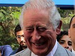 Prince Charles cancels helicopter trip out to HMS Queen Elizabeth