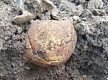 Gruesome mass WWII grave that includes 675 children is unearthed in Russia 