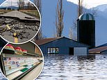 British Columbia introduces limits on gas and restricts non-urgent travel by road after floods