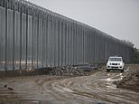 Seven migrants killed and eight injured after ‘people smuggler’ lost control of vehicle in Greece