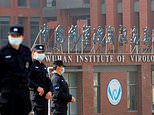 US government documents show scientists at Wuhan lab were studying viral samples from Laos bats
