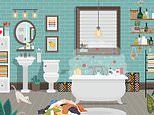 Can YOU spot the toilet roll hidden in the messy bathroom?