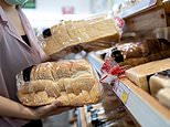 Price of a loaf is set to soar 20% within weeks as wheat prices hit nine-year high, experts warn 