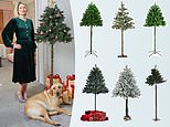 ANTONIA HOYLE (and Herbie) try 2021’s surprise bestselling Christmas tree design