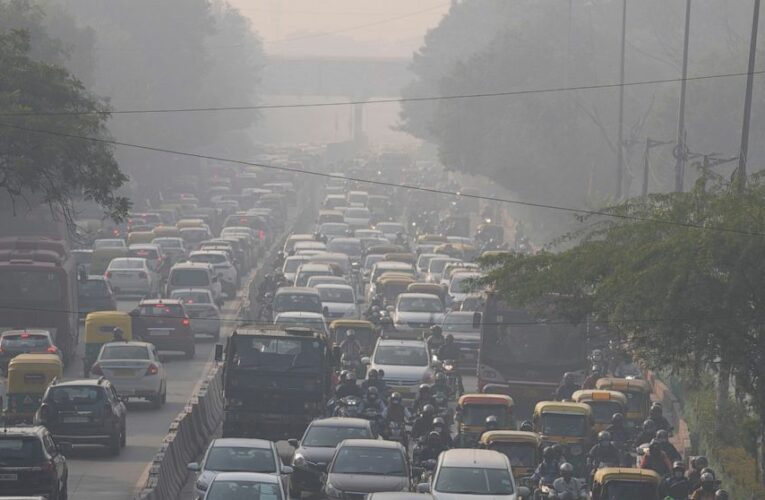 Schools, plants close as Indian capital is smothered by smog