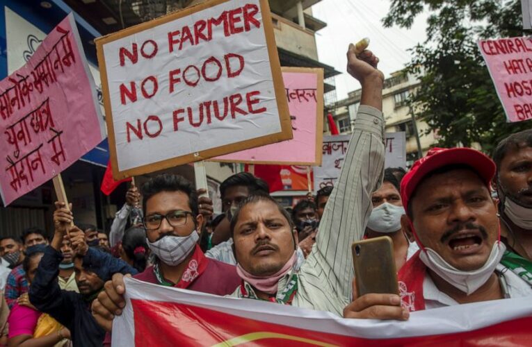 Modi vows to repeal India farm laws after prolonged protests