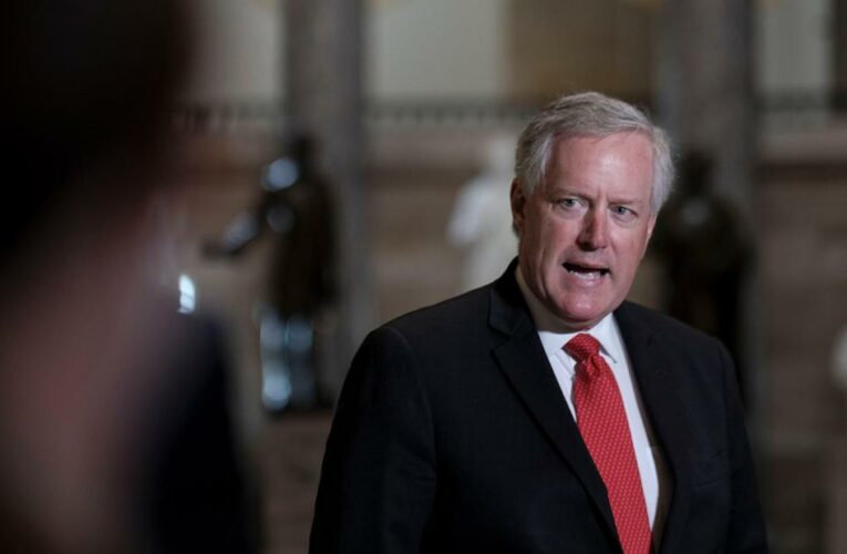 Meadows’ lawyer asked the panel to reconsider its plans