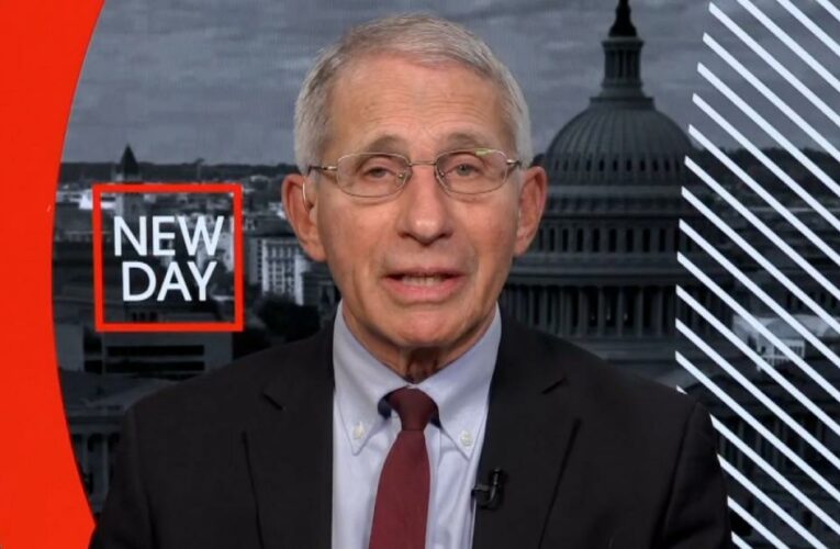 Fauci calls for Fox News host to be fired ‘on the spot’ for ‘kill shot’ comments