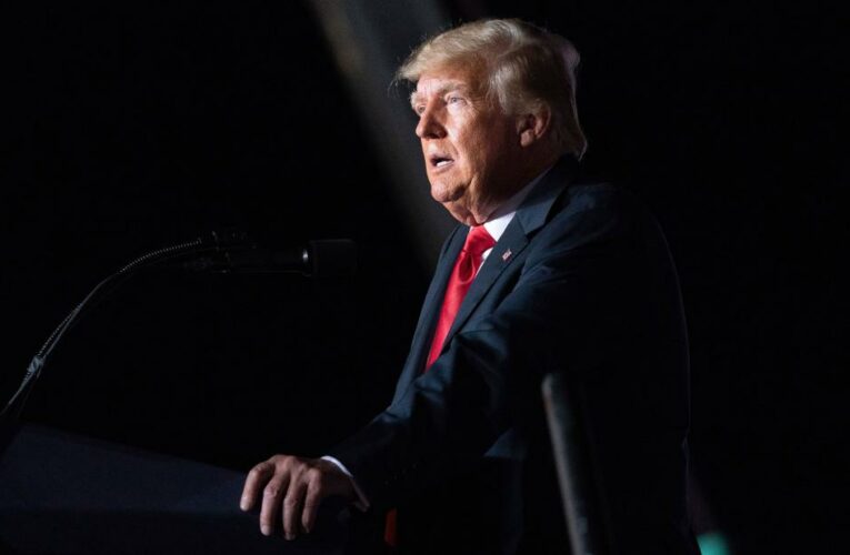 Watch: Calling former President Trump a terror movement leader is ‘too kind’ says analyst