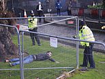Man slips through Parliament gates before being pinned down by cops
