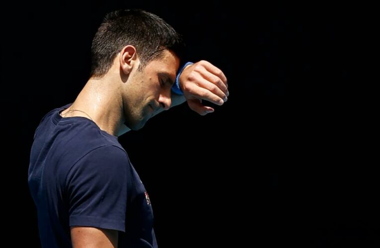 Djokovic could appeal the visa decision again — but would face a tough battle, lawyers say