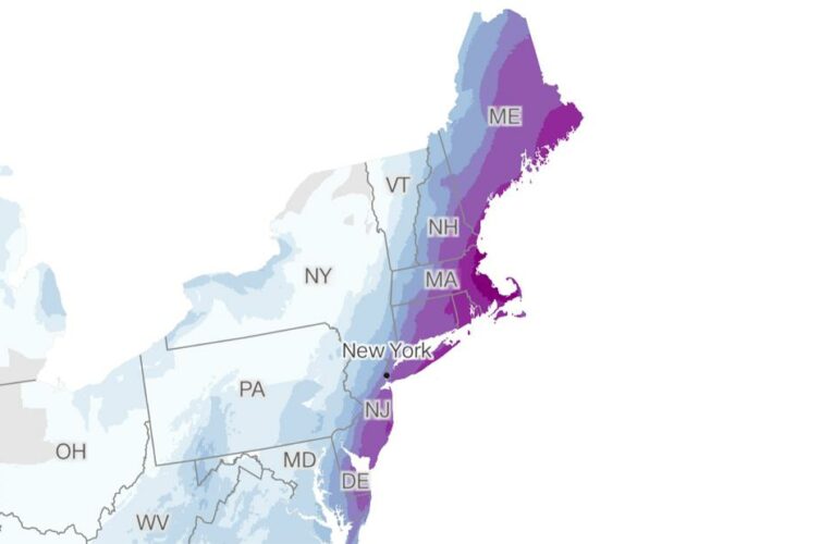 See how much snow has fallen and how much more is forecast