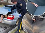 Canadian woman discovers NAKED man has been living in the trunk of her car for three DAYS