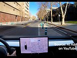Tesla car in ‘Full Self-Driving’ mode hits a bollard on camera