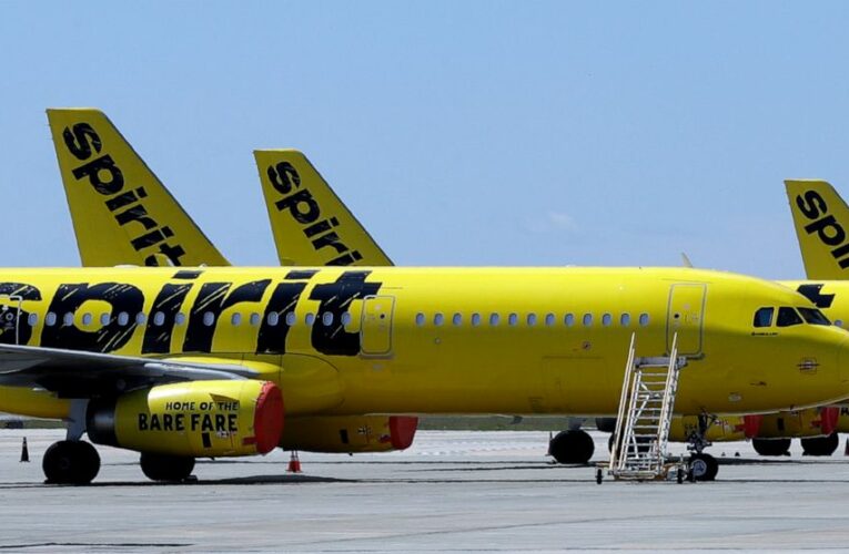 Democrats say Spirit-Frontier merger could boost airfares