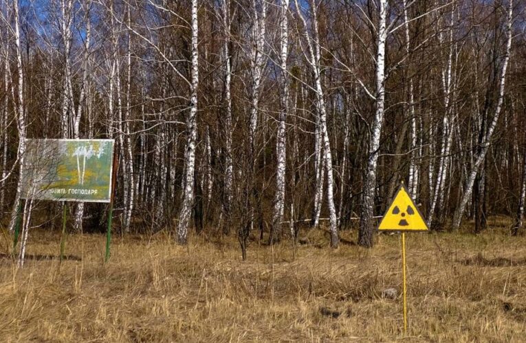 Chernobyl: Ukrainians shocked by ‘crazy’ scene after Russian pullout reveals radioactive contamination