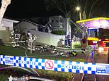 Family home is destroyed and cat killed after Tesla catches fire while charging in garage in Sydney