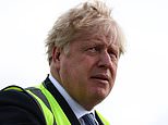 Tory candidates style themselves as ‘local Conservatives’ to keep a distance from Partygate woes