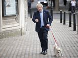 Boris’s moment of truth: Key battlegrounds in local elections today