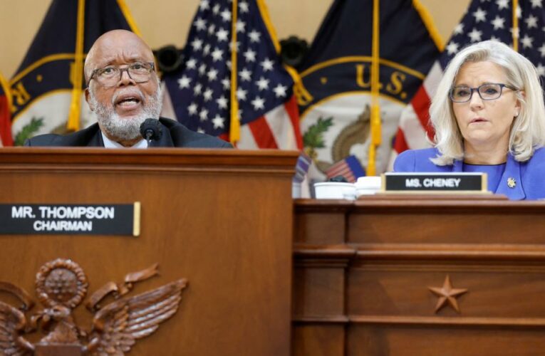 In pictures: The January 6 hearings