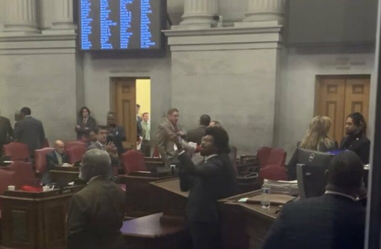 Chaos erupts at Tennessee Capitol over demand for gun safety measures